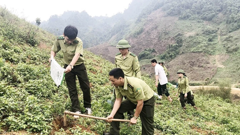 Từ ý thức người dân đến hiệu quả quản lý rừng bền vững