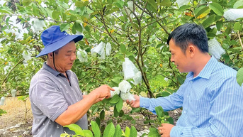 Cần Thơ có 29 hợp tác xã nông nghiệp thành lập mới