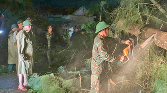 Lực lượng vũ trang tỉnh Gia Lai: Cắt tỉa, dọn dẹp cây gãy đổ, thông Quốc lộ 1A ngay trong đêm
