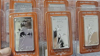 Giá bạc hôm nay 7-11: Hai thương hiệu lớn biến động ngược chiều