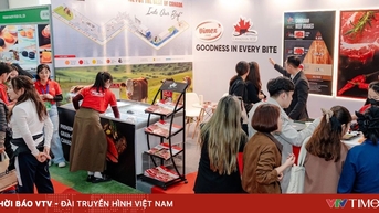 Vimex Food phối hợp Hiệp hội Thịt bò Canada tham gia triển lãm Vietfood & Beverage Hanoi 2025