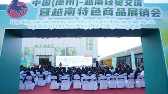 Bộ Công Thương tổ chức chuỗi hoạt động xúc tiến thương mại, đầu tư và quảng bá sản phẩm đặc sắc Việt Nam tại tỉnh Sơn Đông (Đức Châu), Trung Quốc