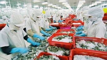 Chế biến nông, lâm, thủy sản tăng trưởng bình quân 8% mỗi năm