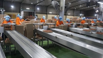 Khoa học công nghệ - 'trái tim' của ngành chăn nuôi - thú y