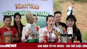 កសិផល 350 តោន និងវិធីសាស្រ្តអាជីវកម្ម 'គ្មានចម្ងាយ' របស់ ឡៃ ចូវ