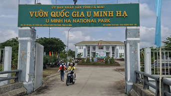 Cà Mau: Vườn Quốc gia U Minh Hạ phát hành 2.600 vé câu cá không đúng quy định