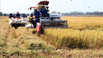 Ngành Nông nghiệp và Môi trường phải đổi mới mạnh mẽ, bắt kịp xu hướng toàn cầu