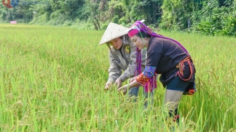 Trợ lực cho phụ nữ dân tộc thiểu số 