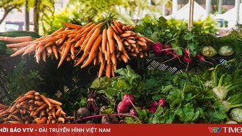 Giá rau củ "hạ nhiệt"