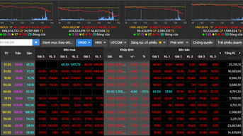 Chứng khoán lao dốc, VN-Index mất mốc 1.600 điểm