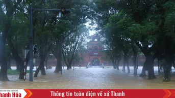 Hội Chữ thập Đỏ VN cứu trợ khẩn cấp người dân miền Trung bị thiệt hại do mưa lũ