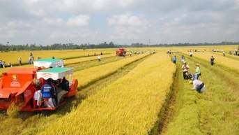 Các trường hợp được miễn thuế sử dụng đất nông nghiệp đến hết ngày 31-12-2030