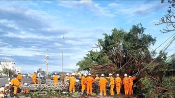 Thành phố Đà Nẵng hỗ trợ 3 tỉnh Đắk Lắk, Gia Lai, Quảng Ngãi 5 tỷ đồng để khắc phục hậu quả của bão số 13