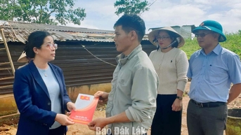 Phó Bí thư Tỉnh ủy Huỳnh Thị Chiến Hòa kiểm tra công tác khắc phục hậu quả bão số 13 tại xã Tam Giang