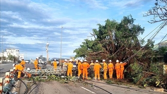 Truyền tải điện 3 khôi phục toàn bộ lưới điện bị ảnh hưởng