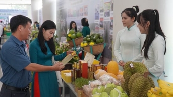 Doanh nghiệp Việt cần tối ưu vận hành để xuất khẩu bền vững