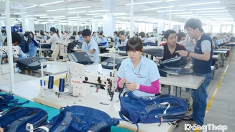 បង្កើតសន្ទុះសម្រាប់សេដ្ឋកិច្ចឯកជន