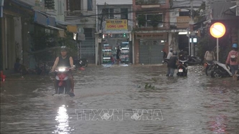 Cấp bách giải bài toán ngập lụt, sạt lở khi mực nước thuỷ triều lên nhanh