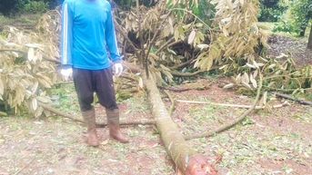 Hai xã Dliê Ya và Tam Giang thiệt hại hàng chục tỷ đồng do bão số 13