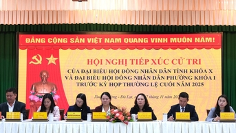 Cử tri phường Xuân Trường - Đà Lạt kiến nghị sớm khắc phục tình trạng sạt lở
