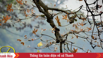 [E-Magazine]: Đông về, gọi yêu thương vọng lại
