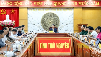 Nâng cao hiệu quả công tác xây dựng, thi hành pháp luật