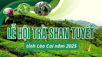 INFOGRAPHIC: LỄ HỘI TRÀ SHAN TUYẾT TỈNH LÀO CAI NĂM 2025
