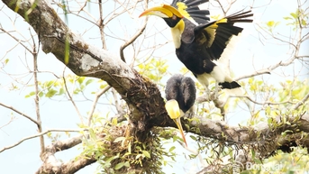 [Chùm ảnh] Vườn quốc gia Bù Gia Mập “kể chuyện” giao mùa