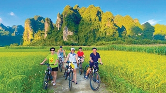 Làng du lịch Nà Tông