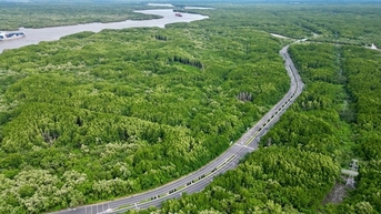 ការកសាងផែនការដើម្បីការពារ "សួតបៃតង" នៃទីក្រុង Can Gio