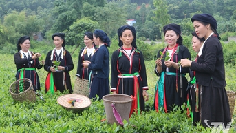 Khởi sắc ở một khu dân cư