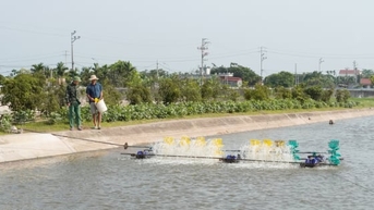 Phát triển cá rô phi cần chú trọng theo xu thế 'xanh'