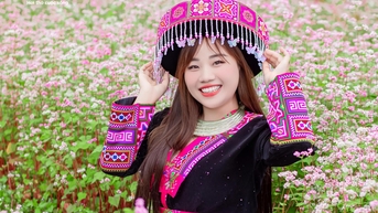 Mùa hoa tam giác mạch nở rộ, thiếu nữ rủ nhau lên Đồng Văn săn ảnh đẹp