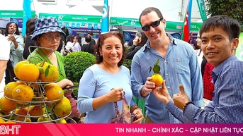 Cam chất lượng cao Hà Tĩnh “đắt khách” từ đầu vụ