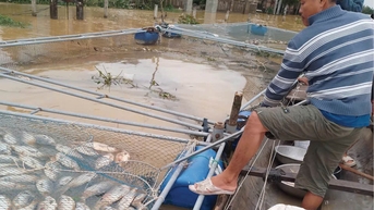 Đa dạng hình thức nuôi trồng thủy sản để tránh thiệt hại