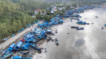 [Ảnh] "Nghĩa địa tàu bè" trên Vịnh Xuân Đài