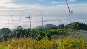 Tài chính xanh chảy vào các ngành hàng nông nghiệp xuất khẩu