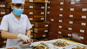 Từ di sản y dược cổ truyền đến 'mỏ vàng' công nghiệp dược: Nền tảng và cơ hội phát triển