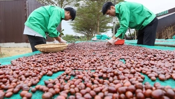Ngành hàng cà phê bứt phá