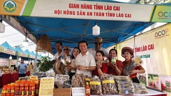 Nông dân miền núi Lào Cai ngồi ở vườn, bán nông sản khắp nước