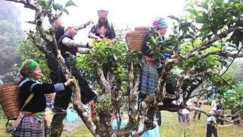 Du lịch cộng đồng là 'chiến lược' phát triển bền vững của tỉnh Lào Cai
