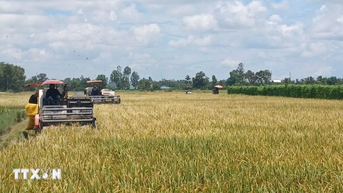 Cà Mau: Tin tưởng có nhiều quyết sách cho nông nghiệp, nông thôn, nông dân
