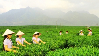 Sắp diễn ra Ngày hội sản phẩm vùng đồng bào dân tộc thiểu số và miền núi phía bắc