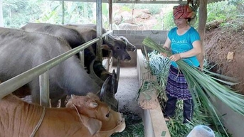 Đẩy mạnh các dự án phát triển sản xuất, thương mại, dịch vụ, du lịch cộng đồng để giảm nghèo bền vững