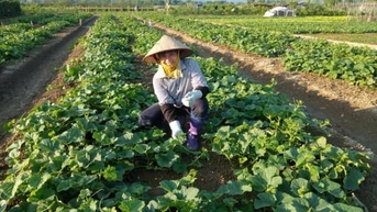 Phụ nữ Thanh Nưa thi đua làm kinh tế, phát triển cộng đồng bền vững