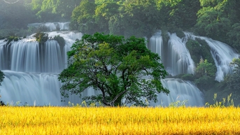 Vẻ đẹp yên bình, hoang sơ của vùng đất Non nước Cao Bằng