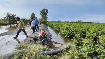 Triều cường xuất hiện ở cả Bắc bộ và Nam bộ