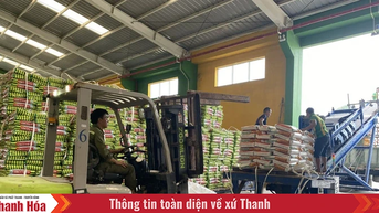 Đảm bảo nguồn phân bón cho cây trồng vụ đông