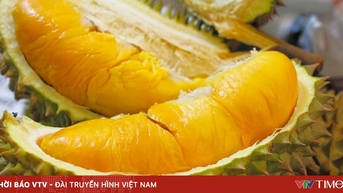 Minh bạch truy xuất nguồn gốc giữ thị trường xuất khẩu