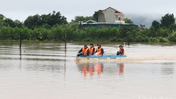 Hơn 9.600 ha cây trồng bị ngập úng do mưa lũ